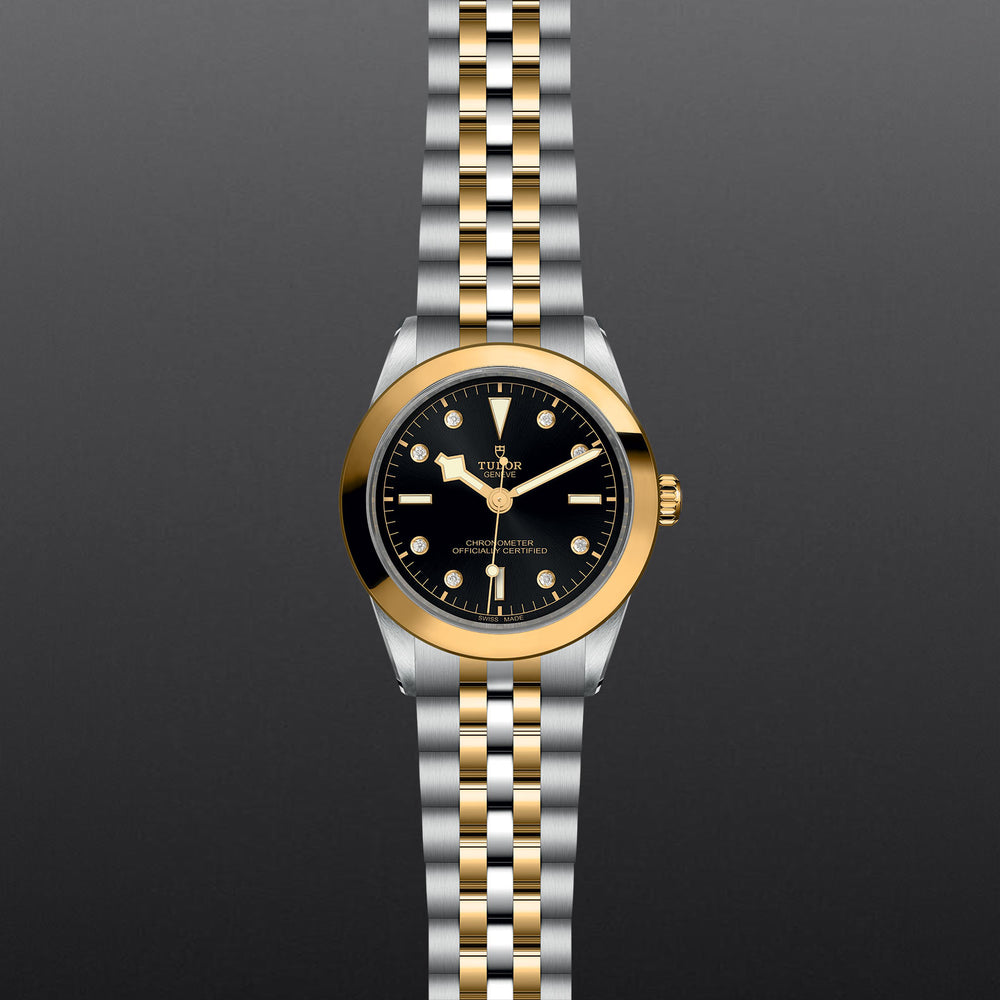 TUDOR Black Bay 39 S&G