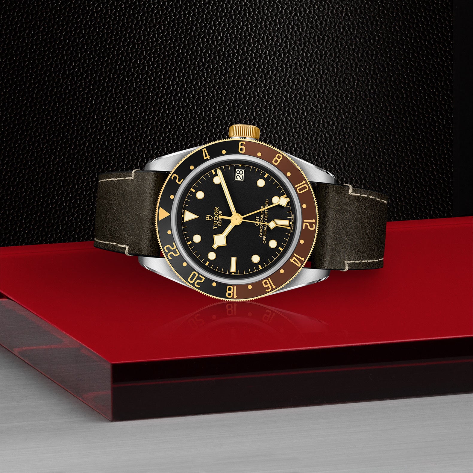 TUDOR Black Bay GMT S&G