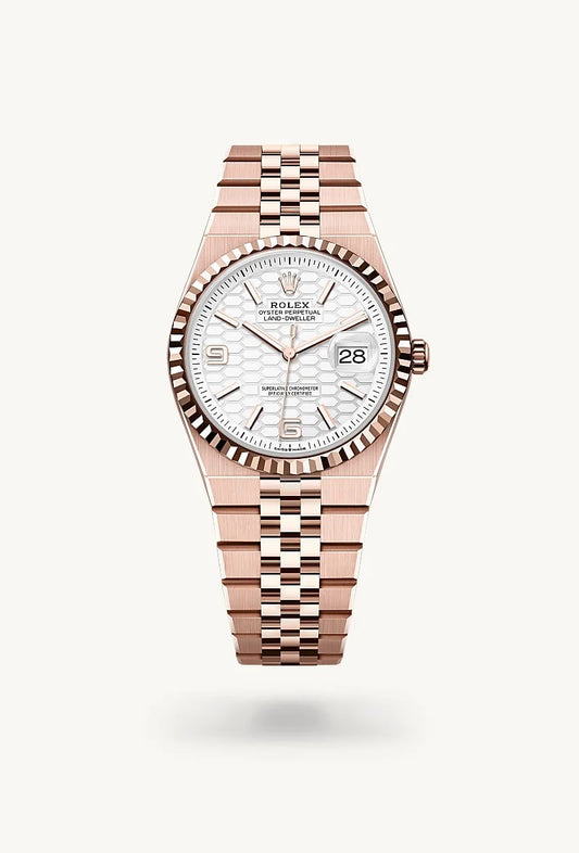 rolex Land-Dweller in 18 kt Everose gold, M127235-0001 - Bijoux Jamaica
