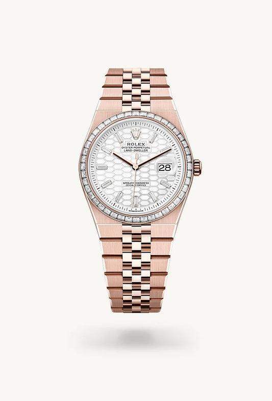 rolex Land-Dweller in 18 kt Everose gold, M127285TBR-0002 - Bijoux Jamaica