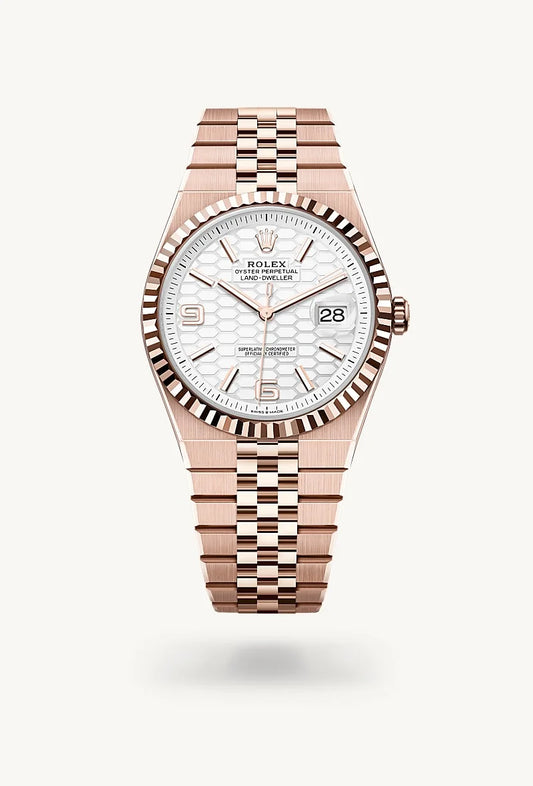 rolex Land-Dweller in 18 kt Everose gold, M127335-0001 - Bijoux Jamaica