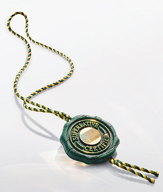 Rolex Oyster Perpetual 36 watches - Bijoux Jamaica
